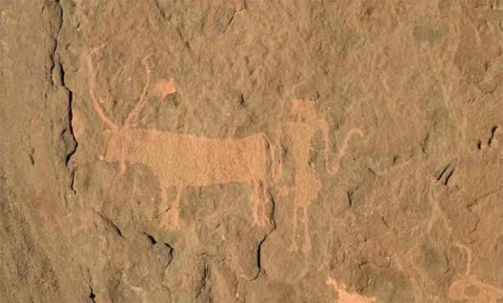 اكتشافات الفن الصخري في شرق السودان تحكي قصة “الصحراء الخضراء” ذات يوم